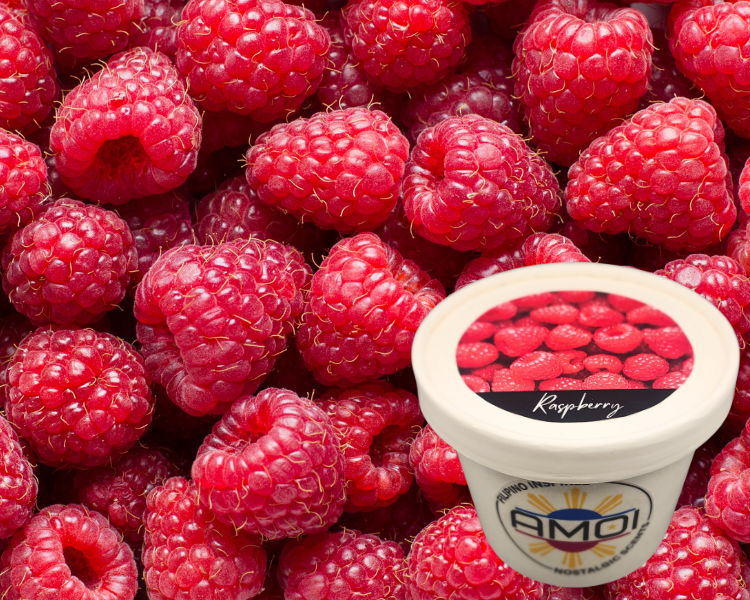 4oz Wax Melts – Raspberry